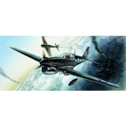 ACADEMY 12465 P-40 M/N Warhawk 1:72