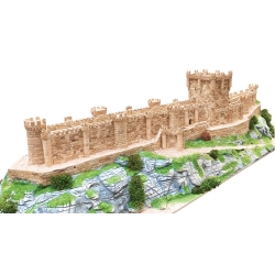 AEDES ARS 1017 Castillo de Penafiel 1:260