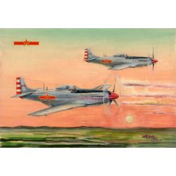 HOBBY BOSS 85807 PLAAF P-51D/K Mustang - 1:48