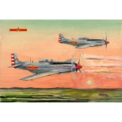 HOBBY BOSS 85807 PLAAF P-51D/K Mustang - 1:48