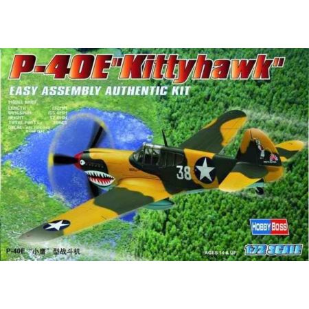 HOBBY BOSS 80250 P-40E Kittyhawk - 1:72