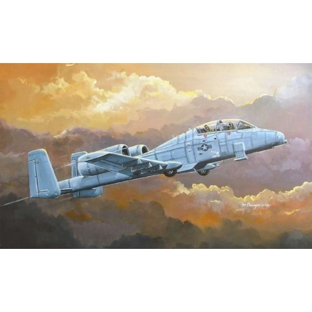 HOBBY BOSS 80267 N/AW A-10A Thunderbolt II - 1:72