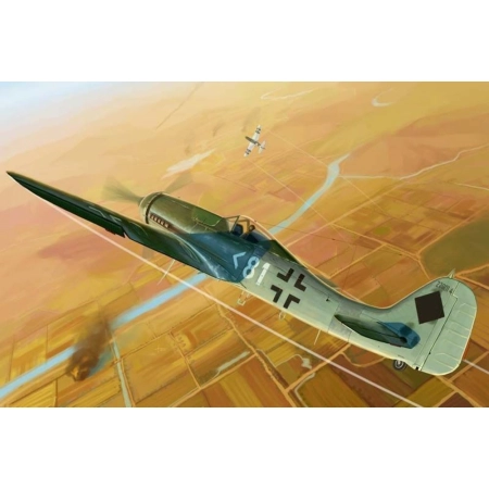 HOBBY BOSS 81718 Focke-Wulf FW190D-11 - 1:48