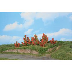 HEKI 11801 Krzewy róż 3-6 cm, 6 szt.