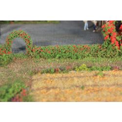 HEKI 11806 Żywopłot z krzewów róży 7x7x500 mm, 2 szt.