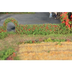 HEKI 11811 Żywopłot z krzewów róży 14x7x500 mm, 2 szt.