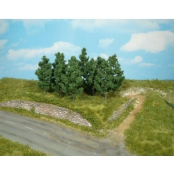 HEKI 1220 Czarna topola 9 cm, 10 szt.