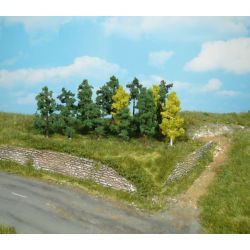 HEKI 1231 Drzewa liściaste 4-6 cm, 25 szt.