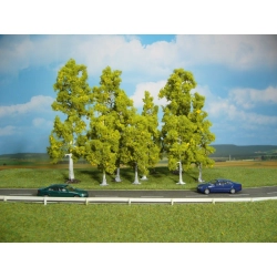 HEKI 1322 Brzoza 10-18 cm, 10 szt.