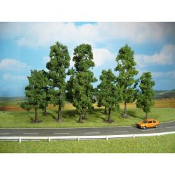 HEKI 1323 Buk 10-18 cm, 10 szt.