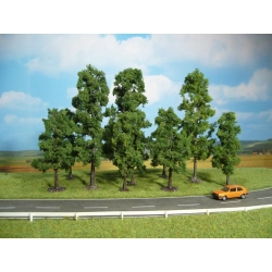 HEKI 1323 Buk 10-18 cm, 10 szt.