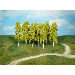 HEKI 1412 Brzoza 14 cm, 14 szt.