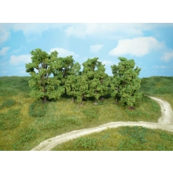 HEKI 1415 Drzewa liściaste  6-13 cm, 12 szt.