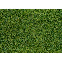 HEKI 1573 Trawa siateczka ciemnozielona 28x14 cm