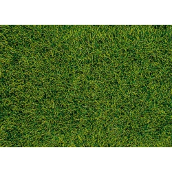 HEKI 1573 Trawa siateczka ciemnozielona 28x14 cm
