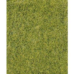 HEKI 1575 Trawa siateczka wiosenna zieleń 28x14 cm