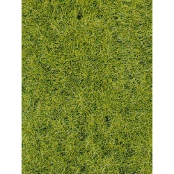 HEKI 1576 Trawa siateczka leśna zieleń 28x14 cm