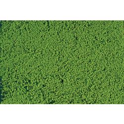 HEKI 1600 HEKI Mikroflor jasnozielony 28x14 cm