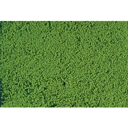 HEKI 1600 HEKI Mikroflor jasnozielony 28x14 cm