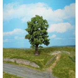 HEKI 1740 Dąb 18 cm, 1 szt.