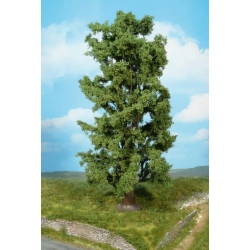 HEKI 1742 Klon skalny 30 cm, 1 szt.