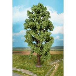 HEKI 1743 Klon górski 35 cm, 1 szt.