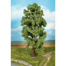 HEKI 1743 Klon górski 35 cm, 1 szt.