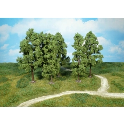 HEKI 1761 Buk 18 cm, 6 szt.