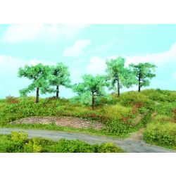 HEKI 1773 Drzewo oliwne 8-10 cm, 5 szt.