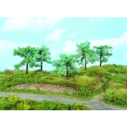 HEKI 1773 Drzewo oliwne 8-10 cm, 5 szt.