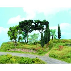 HEKI 1774 Drzewa Śródziemnomorskie 8-17 cm, 11 szt.