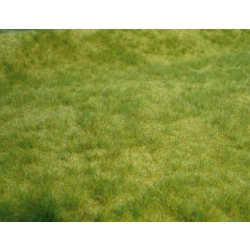 HEKI 1841 Trawa wiosenna 45x17 cm