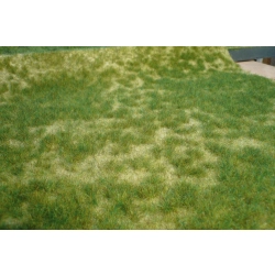 HEKI 1842 Trawa letnia 45x17 cm