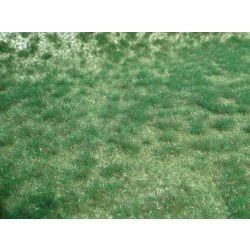 HEKI 1843 Trawa ciemnozielona 45x17 cm