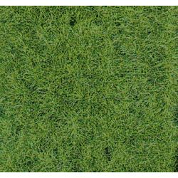 HEKI 1871 Trawa runo leśne 40x24 cm, 2 szt.