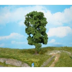 HEKI 1910 Lipa 18 cm