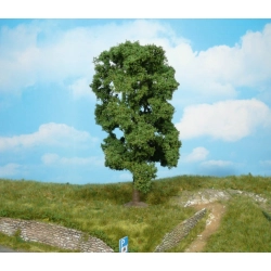 HEKI 1910 Lipa 18 cm