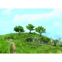 HEKI 1911 Wierzby polne 5,5 cm, 3 szt.