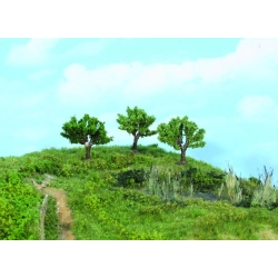 HEKI 1911 Wierzby polne 5,5 cm, 3 szt.