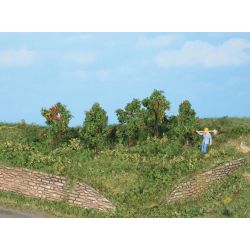 HEKI 19131 Jabłoń 4 cm, 5 szt.