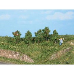 HEKI 19131 Jabłoń 4 cm, 5 szt.