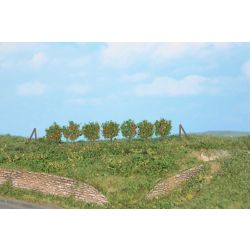 HEKI 19135 Palmety 2,5 cm, 36 szt.