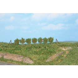 HEKI 19135 Palmety 2,5 cm, 36 szt.