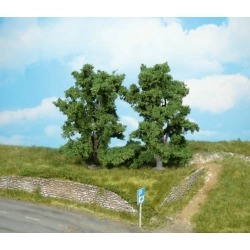 HEKI 1914 Jesion górski 13 cm, 2 szt.