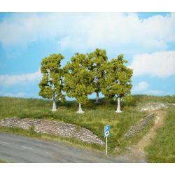 HEKI 1921 Brzoza 10 cm, 4 szt.