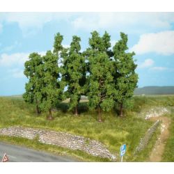 HEKI 1925 Buk 11-13 cm, 10 szt.