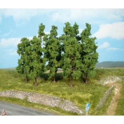 HEKI 1925 Buk 11-13 cm, 10 szt.