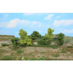 HEKI 1927 Krzaki i krzewy 6-8 cm, 7 szt.