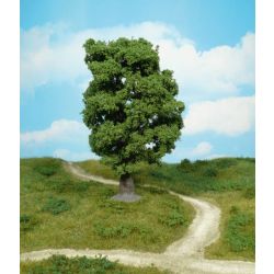 HEKI 1940 Dąb 18 cm, 1 szt.