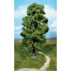 HEKI 1943 Klon górski 35 cm, 1 szt.